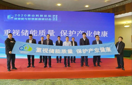 2020泰山科技論壇暨儲能與智慧能源研討會在濟南成功舉辦，推動能源科學技術(shù)研究發(fā)展